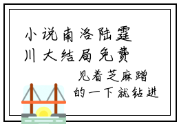 小说南洛陆霆川大结局免费阅读-南洛陆霆川最新章节