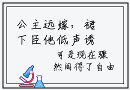 公主远嫁，裙下臣他低声诱宠裴鹤语谢夔免费小说 （ 裴鹤语谢夔）全文阅读无弹窗大结局