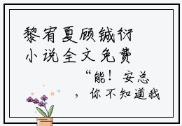 黎宥夏顾铖衍小说全文免费阅读 黎宥夏顾铖衍最新章节
