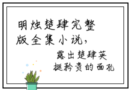 明烛楚肆完整版全集小说，百分爆评热文明烛楚肆