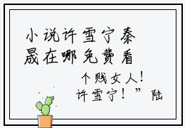 小说许雪宁秦晟在哪免费看-许雪宁秦晟强推全文阅读无弹窗