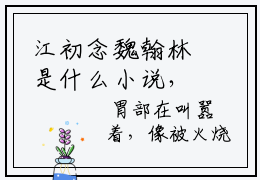 江初念魏翰林是什么小说，江初念魏翰林（江初念魏翰林）完整章节在线阅读