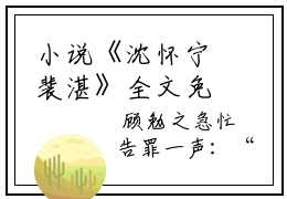 小说《沈怀宁裴湛》全文免费阅读