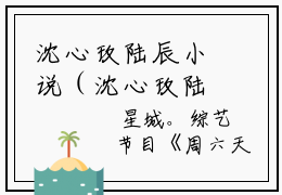 沈心玫陆辰小说（沈心玫陆辰）全文免费阅读无弹窗大结局（沈心玫陆辰小说）