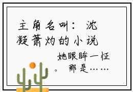 主角名叫：沈凝萧灼的小说最新章节列表无删减_笔趣阁