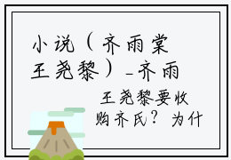 小说（齐雨棠王尧黎）_齐雨棠王尧黎全文阅读_齐雨棠王尧黎免费阅读大结局