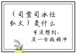 （司雪司冰任弘文）是什么小说-（缅北：逃离病娇大佬小说）全文免费阅读无