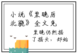 小说《栗晚厉北骁》全文免费阅读无弹窗-栗晚厉北骁（厉北骁栗晚）小说全文在线赏析_笔趣阁