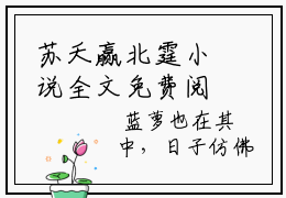 苏夭赢北霆小说全文免费阅读-苏夭赢北霆（苏夭赢北霆）小说最新章节