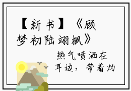 【新书】《顾梦初陆翊枫》全文免费阅读无弹窗大结局-顾梦初陆翊枫全文全章