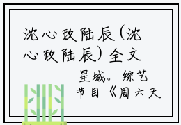 沈心玫陆辰(沈心玫陆辰)全文免费阅读沈心玫陆辰最新章节