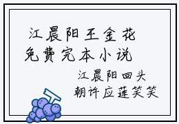 江晨阳王金花免费完本小说-百分爆评热文顶流怀里的小撩精是活半仙