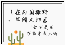 （在民国撒野，军阀大帅蓄意娇宠）全文无弹窗大结局， 沈涵萧天焰小说最新
